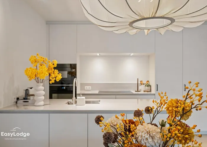 Troontesse - Stylish With Garage By The Sea Ostende